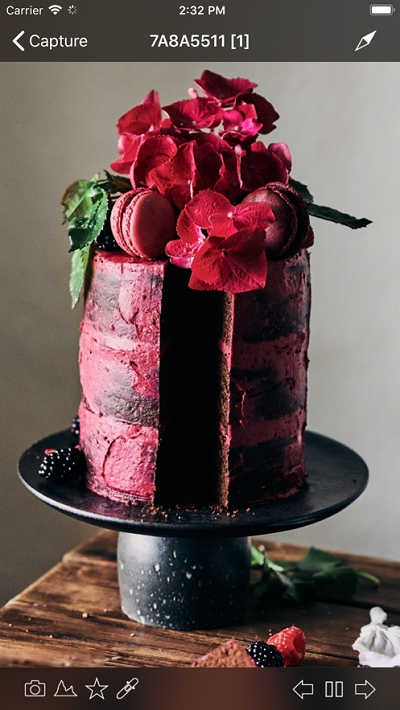 Capture Pilot安卓版v2.11截图2