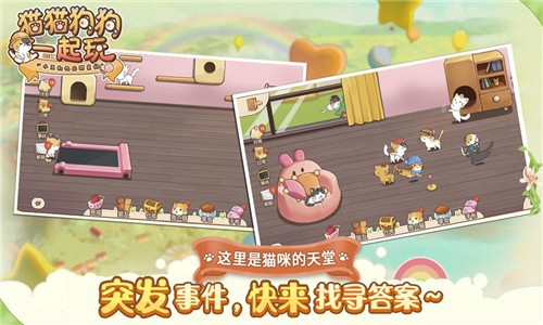 猫猫狗狗一起玩v6截图2