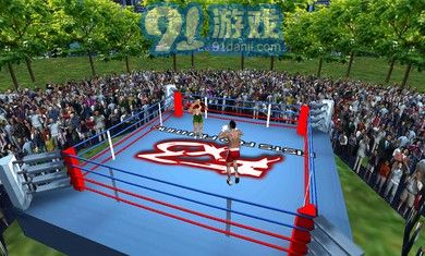 3D拳击对战Onlinv1.5截图2