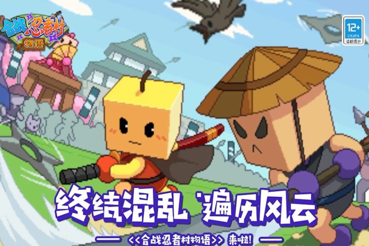 合战忍者村物语中文版v1.03截图1