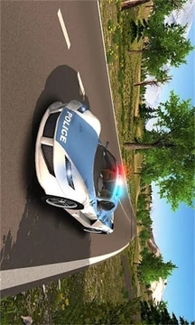 警车追逐者v1.5截图3