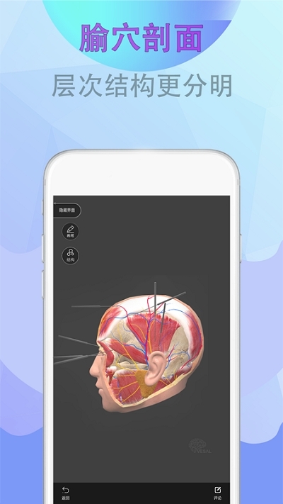 北京健康宝v1.18截图2