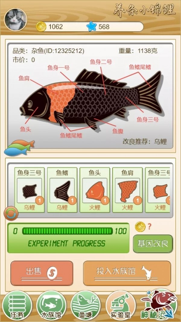 养条小锦鲤v1.5截图3
