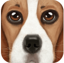 终极狗狗模拟器v1.6