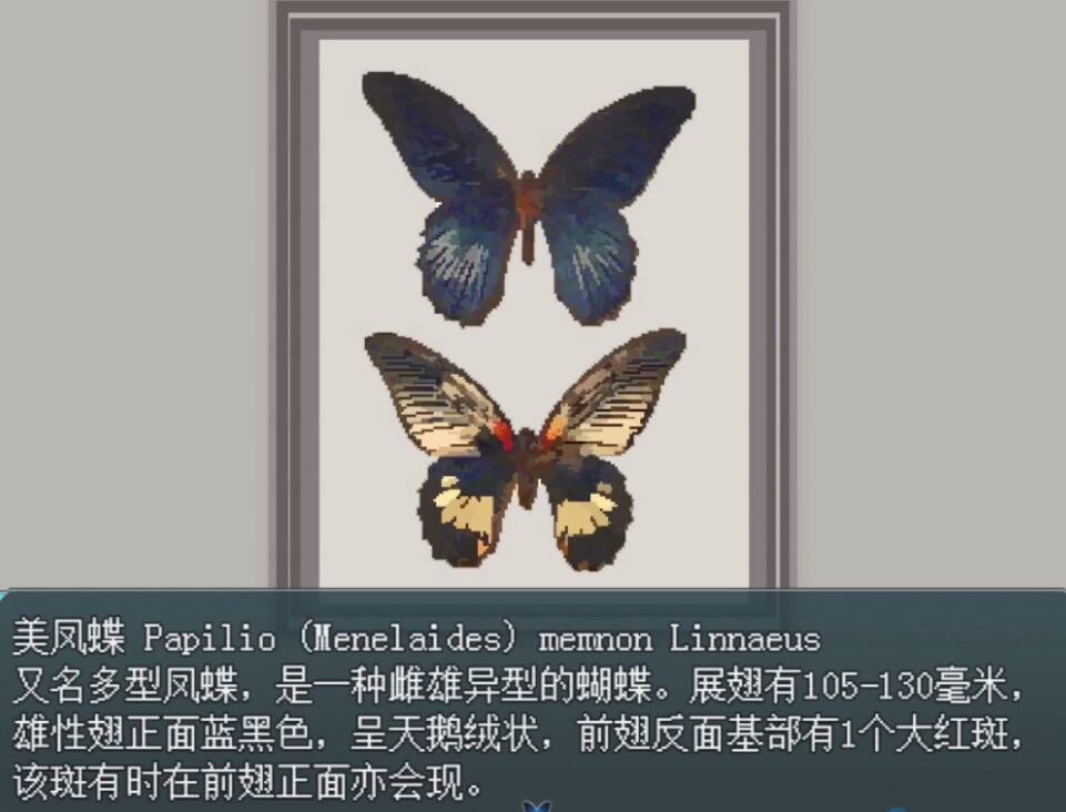 白夜博物馆v1.20.612截图5
