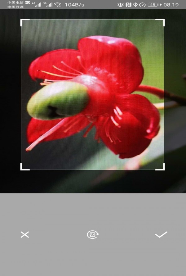 万能识别工具v2.7截图3