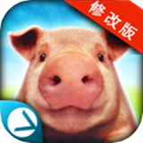 顽皮猪模拟破解版v1.4.7