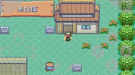 口袋妖怪绿宝石破解版v1.10截图1