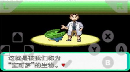 口袋妖怪绿宝石破解版v1.10截图4