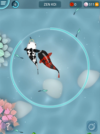禅宗锦鲤v1.13.7截图3