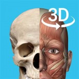 3d人体解剖学三维图谱v1.6