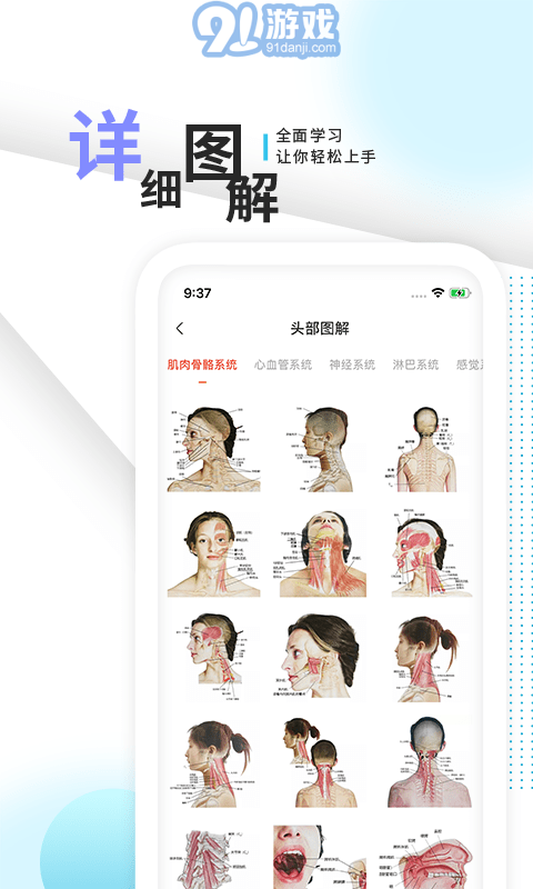 3d人体解剖学三维图谱v1.6截图3