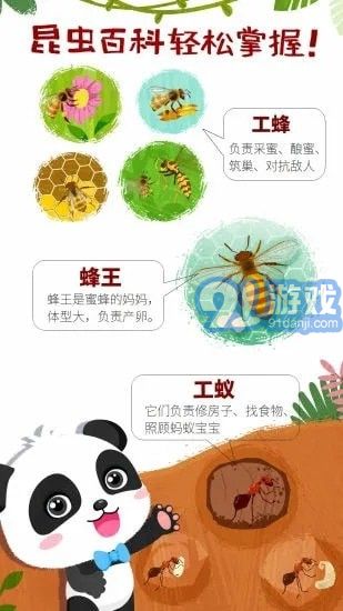 奇妙昆虫世界蚂蚁王国v9.69.00.06截图2