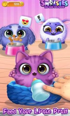 我可爱的宠物屋v1.8截图2