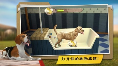 狗狗旅馆v1.3.13截图3