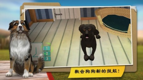 狗狗旅馆v1.3.13截图4