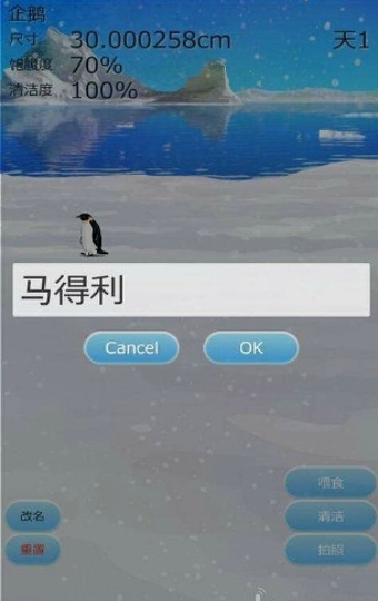 治愈的养成企鹅游戏汉化版v1.8截图3