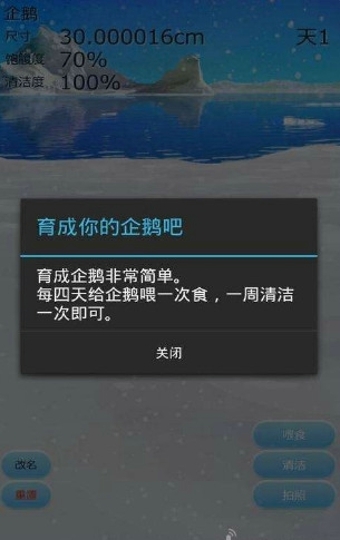 治愈的养成企鹅游戏汉化版v1.8截图4
