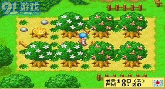 牧场物语精灵驿站中文版v3.4截图2