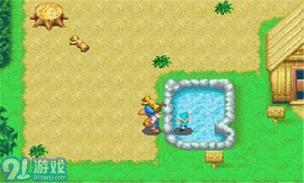 牧场物语精灵驿站中文版v3.4截图3