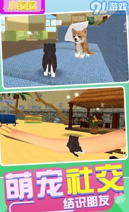 奔跑吧小狗狗v1.3.16截图2