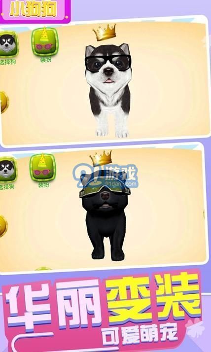 奔跑吧小狗狗v1.3.16截图3