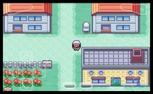 口袋妖怪火红ndsv.02.22.21截图2