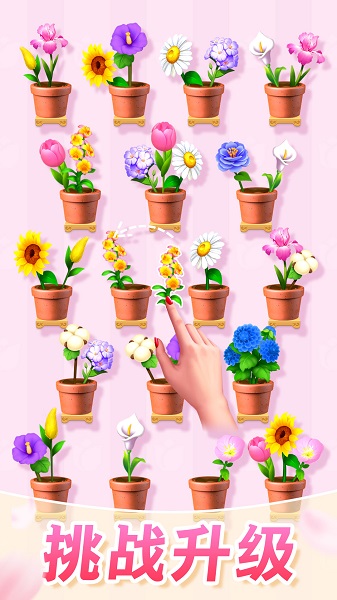 插花消除v1.22截图1