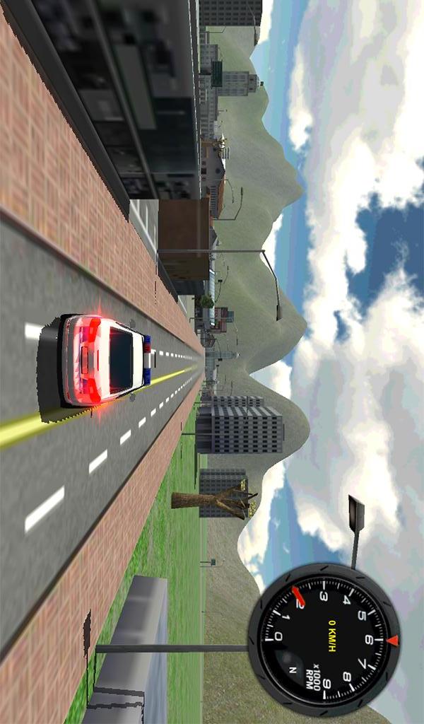 Police Car Driver 3Dv1.0.14截图2