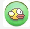 flappy birdv10.14