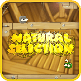 传奇小蜘蛛v4.11.7