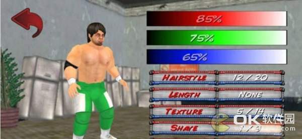 摔跤运动会v1.662截图2