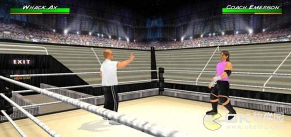 摔跤运动会v1.662截图1