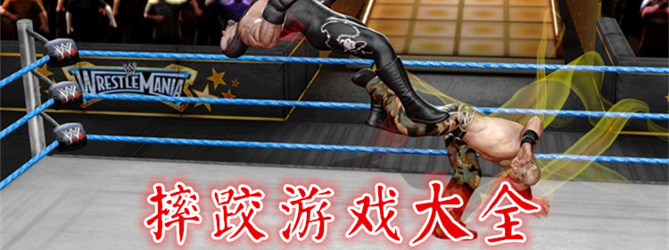 摔跤运动会v1.662截图4