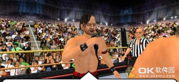 摔跤运动会v1.662截图3