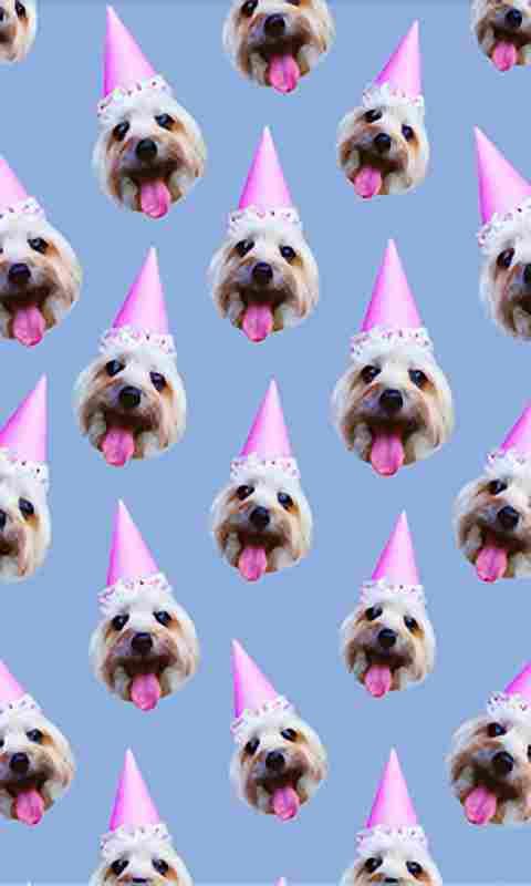 Patternatorv1.3.0.10截图4