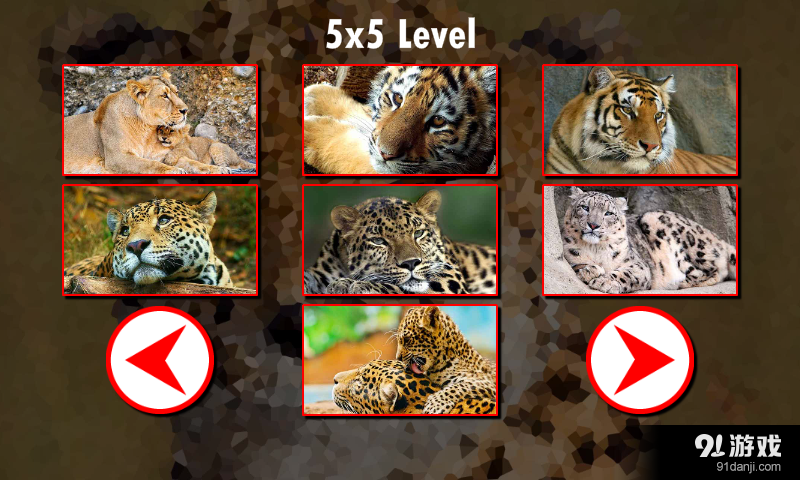 大型猫科动物拼图v1.7.5截图1
