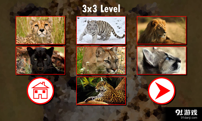 大型猫科动物拼图v1.7.5截图3