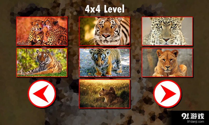 大型猫科动物拼图v1.7.5截图4