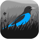 格雷兰v1.2.05.01583