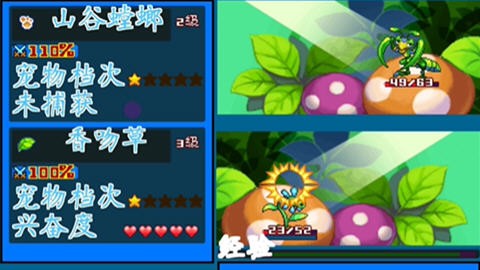 宠物王国5内购免费版v9.13截图2