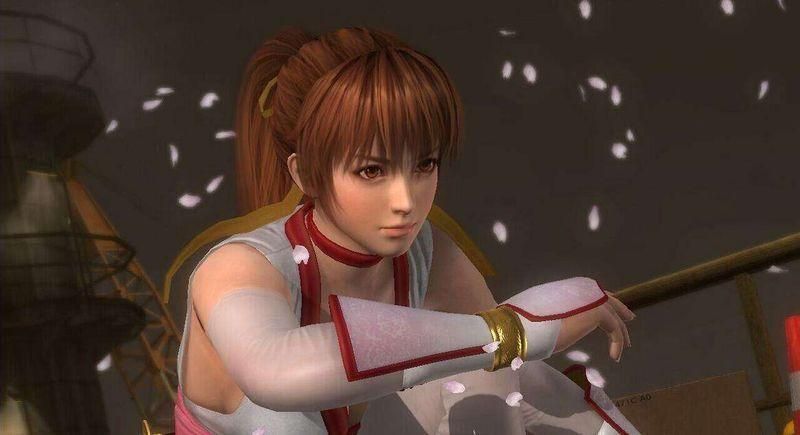 死或生天堂pc版v.11.24.16截图2