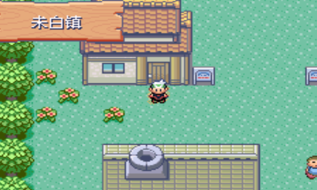 口袋妖怪绿宝石作弊版v4.0.4截图5