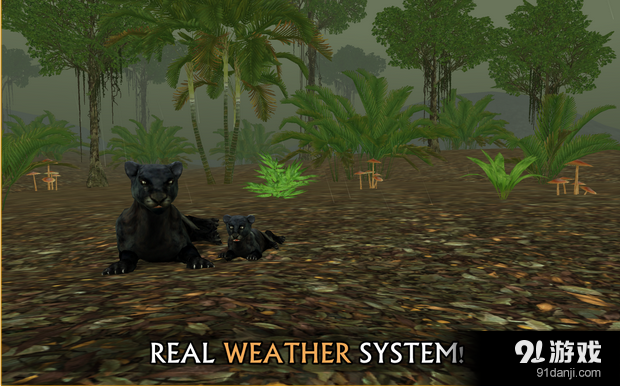 野生豹模拟v1.11截图1