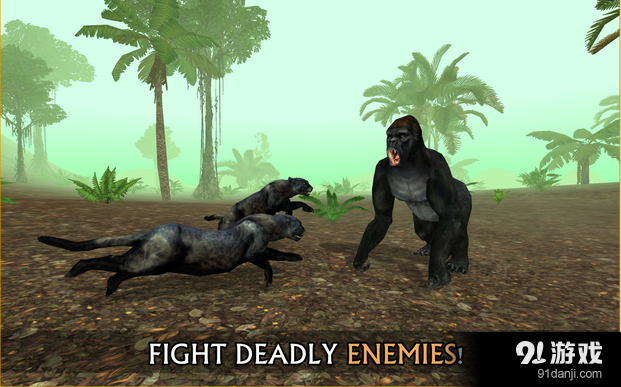 野生豹模拟v1.11截图2