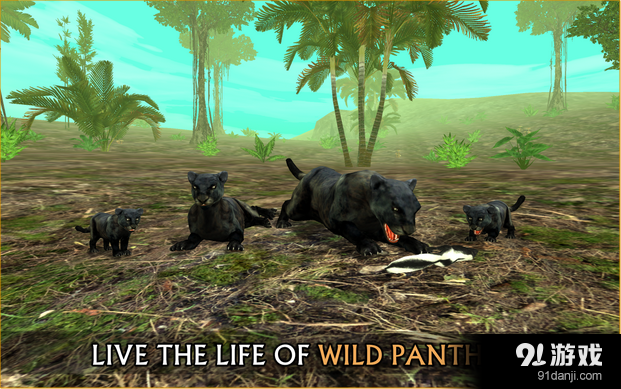 野生豹模拟v1.11截图5