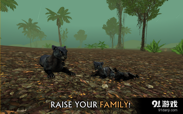 野生豹模拟v1.11截图3