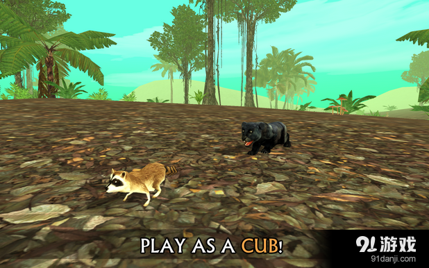 野生豹模拟v1.11截图4