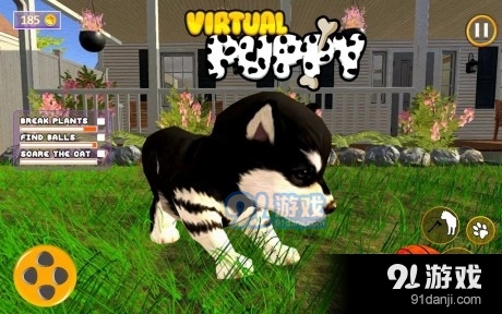 可爱的虚拟小狗v0.14截图3