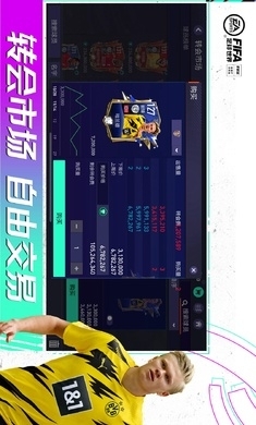 fc足球世界测试服v25.0.10截图3